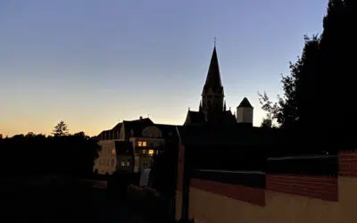 Sonntagswort | 18. Sonntag A | 02.08.2020