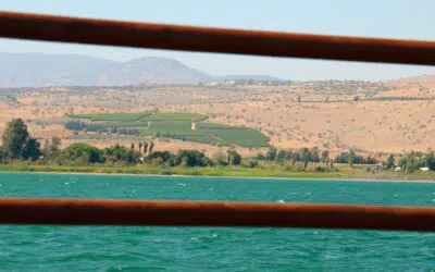 Sonntagswort | 19. Sonntag A | 09.08.2020