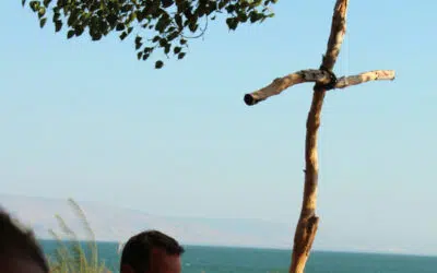 Sonntagswort | 22. Sonntag A | 30.08.2020