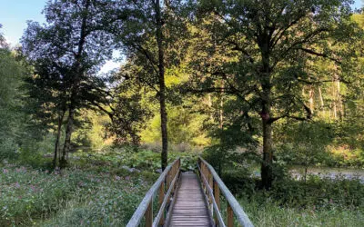 Sonntagswort | 26. Sonntag A | 27.09.2020