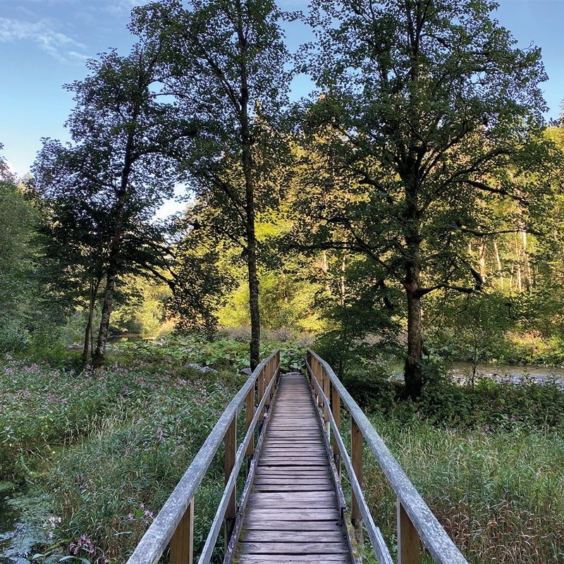 sonntagswort_27092020