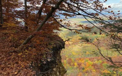 Sonntagswort | ALLERHEILIGEN | 01.11.2020