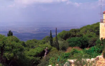 Sonntagswort | 27. Sonntag A | 04.10.2020