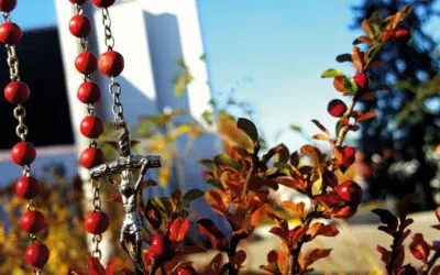 Sonntagswort | 28. Sonntag A, Rosenkranzfest | 10.10.2020