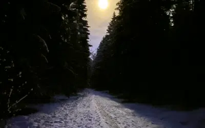 HOCHFEST DER GOTTESMUTTER MARIA Silvester/Neujahr | Sonntagswort | 01.01.2021