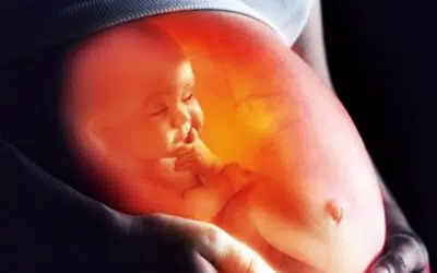 Sonntagswort | 4. Adventssonntag und Familienaktion | 20.12.2020