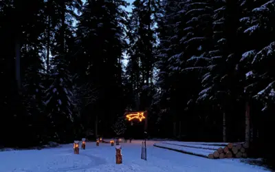 Sonntagswort | EPIPHANIE (Dreikönig) | 06.01.2021