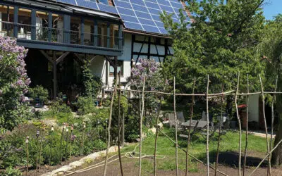 Sonntagswort | 2. Sonntag B | 17.01.2021