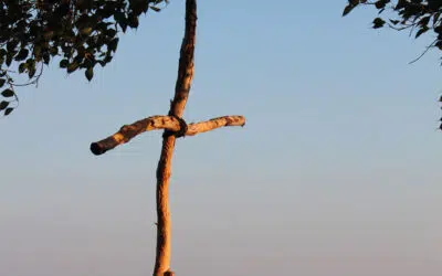 Sonntagswort | 3. Sonntag B | 24.01.2021