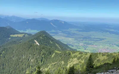 Sonntagswort | 2. Fastensonntag B | 28.02.2021