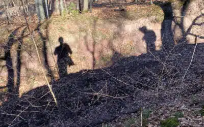 Sonntagswort | 4. Fastensonntag LAETARE | 14.03.2021