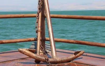 Sonntagswort | 12. Sonntag B | 20.06.2021