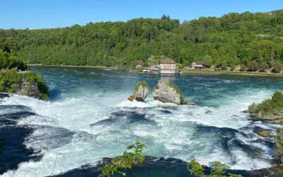 Sonntagswort | 13. Sonntag B | 27.06.2021