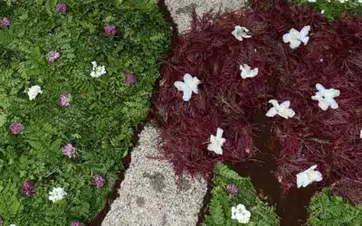 Sonntagswort | 15. Sonntag B | 11.07.2021