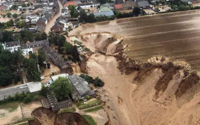 Sonntagswort | 16. Sonntag B | 17.07.2021