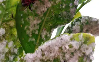 Sonntagswort | 18. Sonntag B | 01.08.2021