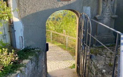 Sonntagswort | ALLERHEILGEN | 01.11.2021