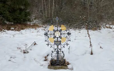 Sonntagswort | ALLERSEELEN | 02.11.2021