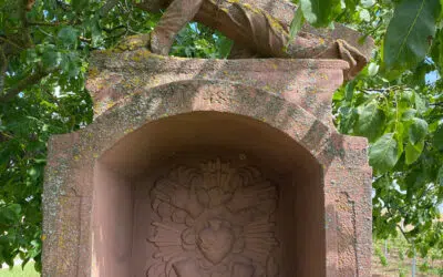 Sonntagswort | 27. Sonntag B | 03.10.2021