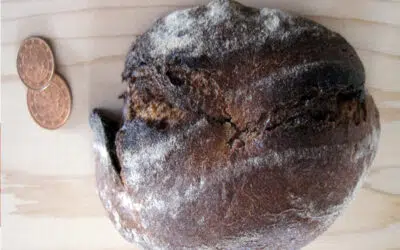 Sonntagswort | 32. Sonntag B | 07.11.2021