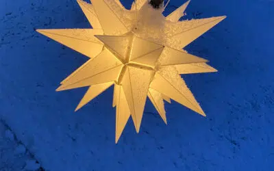 Sonntagswort | 1. Advent | 28.11.2021