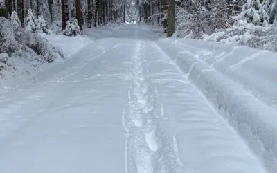 Sonntagswort | 2. Advent | 05.12.2021