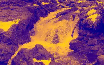 Sonntagswort | TAUFE DES HERRN | 09.01.2022