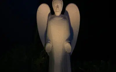 Sonntagswort | 4. Advent | 19.12.2021