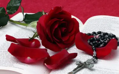 Sonntagswort | 3. Sonntag C | 23.01.2022