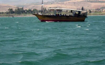 Sonntagswort | 5. Sonntag C | 06.02.2022