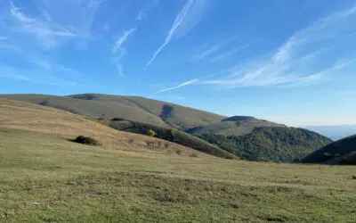 Sonntagswort | 6. Sonntag C | 13.02.2022