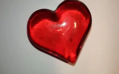 Sonntagswort | 7. Sonntag C | 20.02.2022