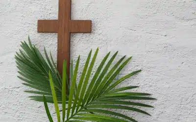 Sonntagswort | PALMSONNTAG | 10.04.2022