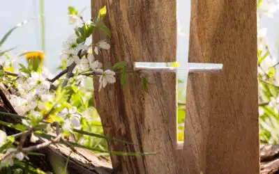 Sonntagswort | OSTERN | 17. – 18.04.2022