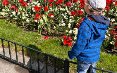 Sonntagswort | 3. Sonntag Osterzeit (Erstkommunion) | 01.05.2022