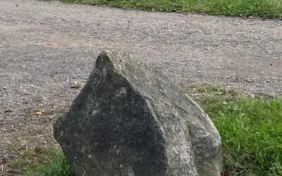 Sonntagswort | 5. Fastensonntag (Passionssonntag) | 03.04.2022