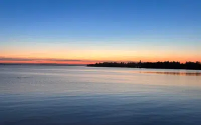 Sonntagswort | 2. Sonntag Osterzeit (Weißer Sonntag) | 24.04.2022