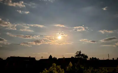 Sonntagswort | 18. Sonntag C | 31.07.2022