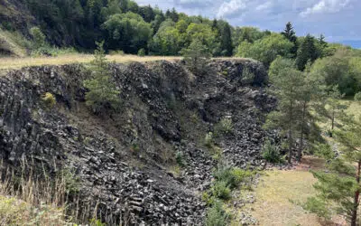 Sonntagswort | 26. Sonntag C | 25.09.2022