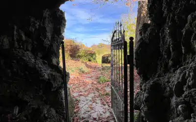 Sonntagswort  ALLERHEILIGEN & ALLERSEELEN | 01. & 02.11.2022