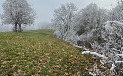 Sonntagswort | 3. Advent GAUDETE | 11.12.2022