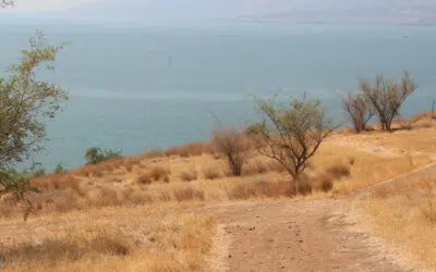 Sonntagswort | 3. Sonntag A | 22.01.2023