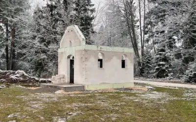 Sonntagswort | 1. Fastensonntag A | 26.02.2023