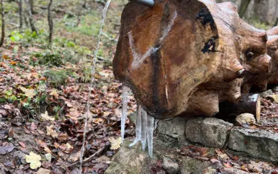 Sonntagswort | 3. Fastensonntag A | 12.03.2023