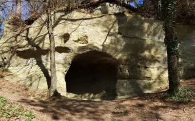 Sonntagswort | 5. Fastensonntag A | 26.03.2023