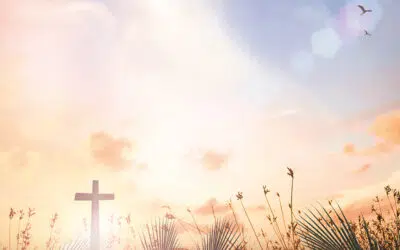 Sonntagswort | PALMSONNTAG | 02.04.2023