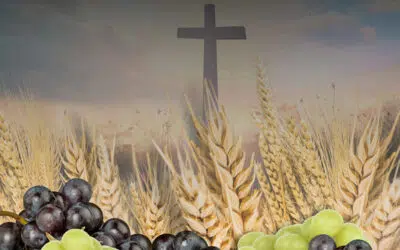 Sonntagswort | GRÜNDONNERSTAG | 06.04.2023