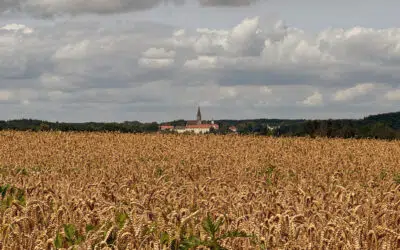 Sonntagswort | 17. Sonntag B | 28.07.2024