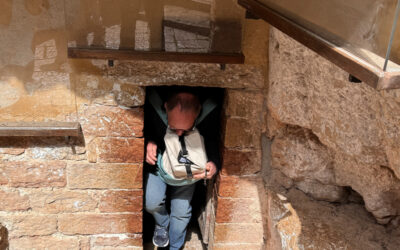 Sonntagwort | 21. Sonntag C | 24.08.2025