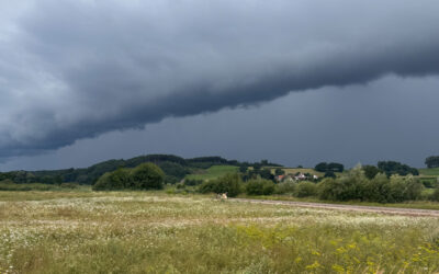 Sonntagswort | 23. Sonntag C | 07.09.2025